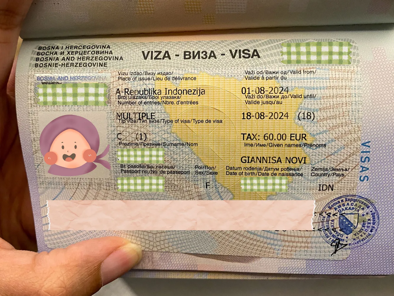 Bosnia Visa Process