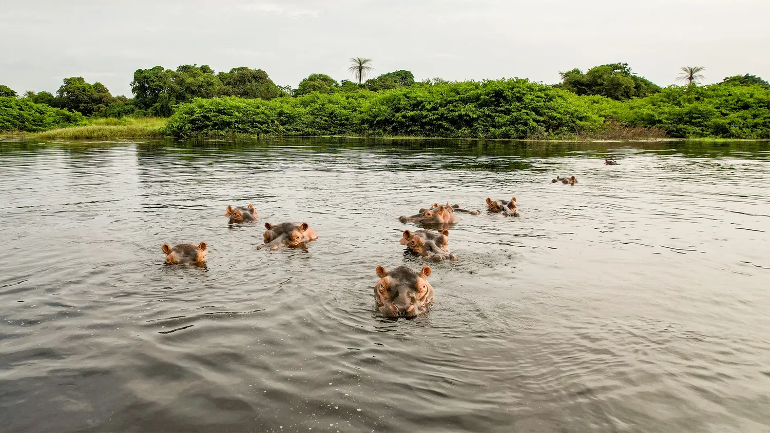 Orango National Park in Guinea-Bissau