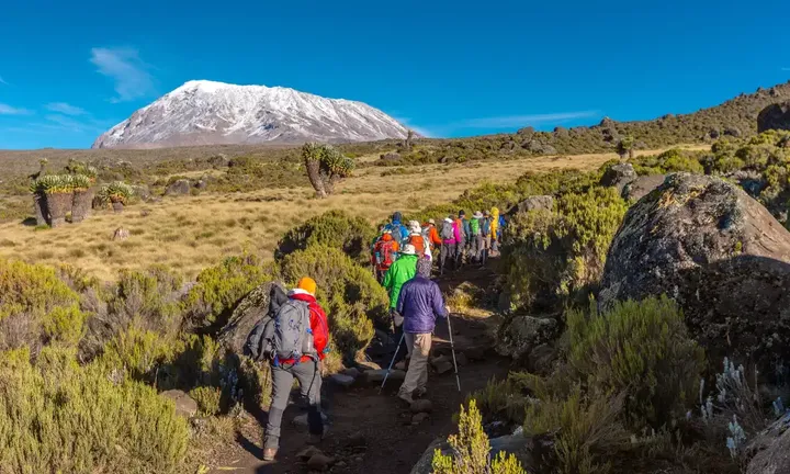 Kilimanjaro Reliable Rescue Services