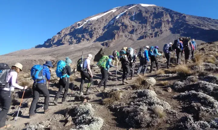 Kilimanjaro Safe Climbing Medevac