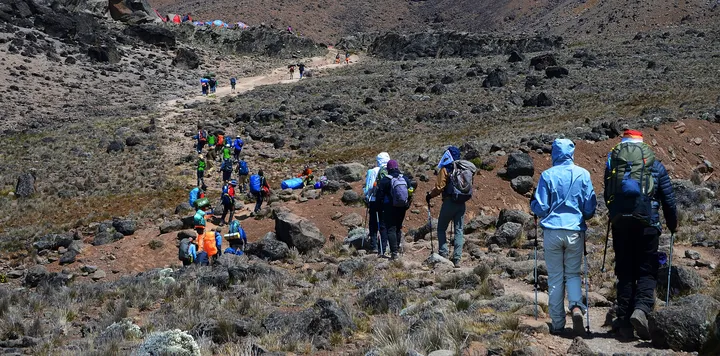 Kilimanjaro Safe Trekking Insurance