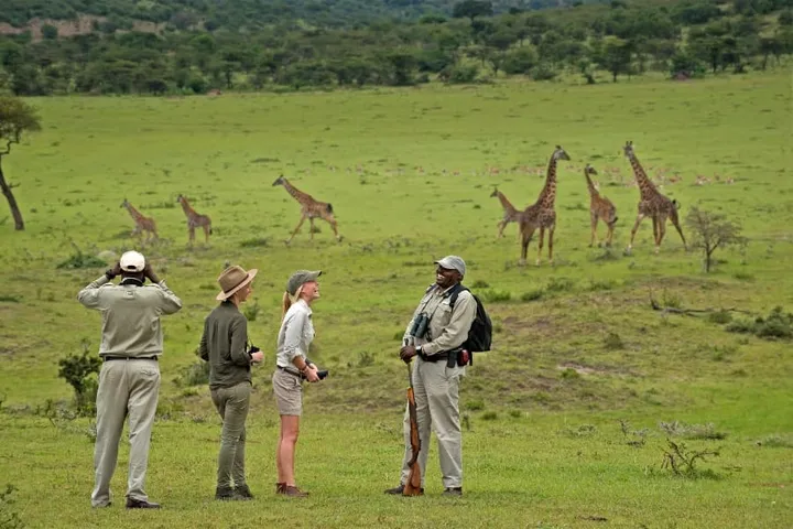 Luxury Charter Serengeti