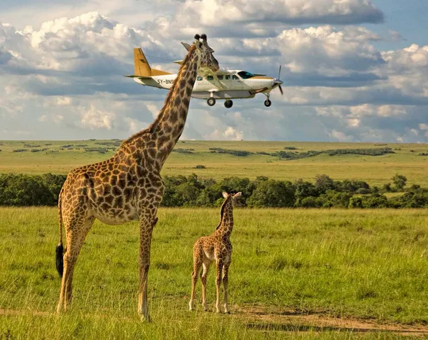 Private Safari Charter Tanzania