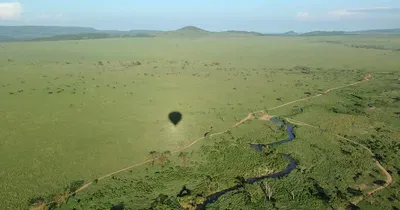 Charter Flights, Helicopter Charters, and Scenic Tours