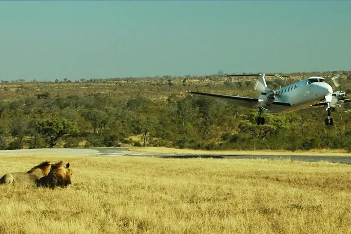 Serengeti Scenic Flights