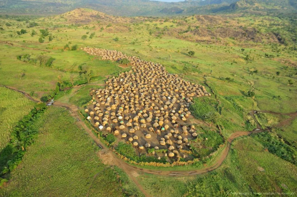 Guided safari in Boma National Park
