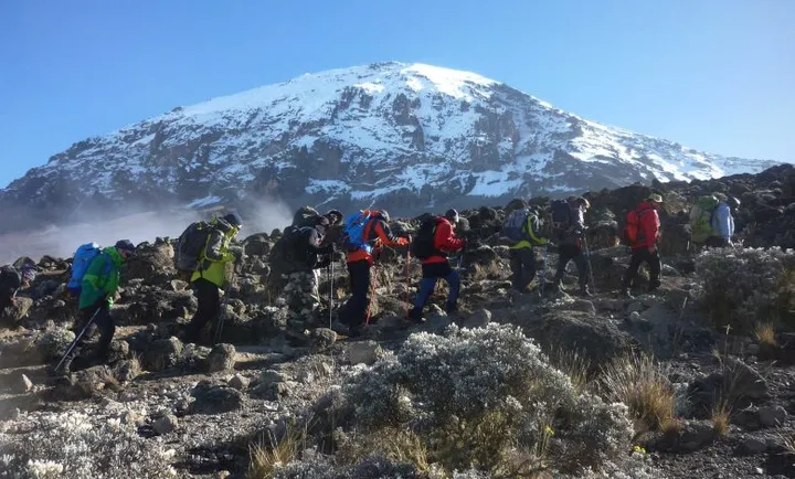 Tanzania Medevac Kilimanjaro Climbers