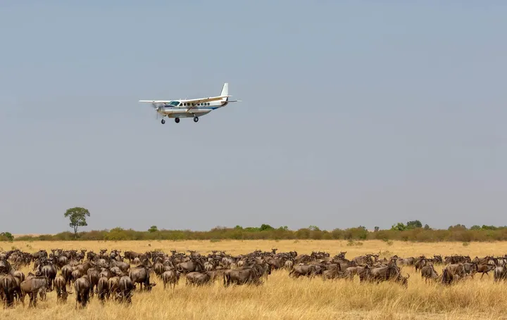 Tanzania Safari Private Jet