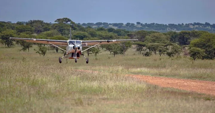 Tarangire Charter Flights