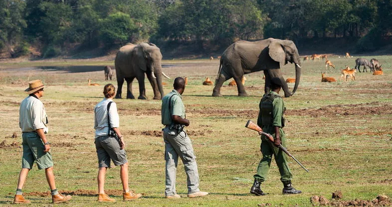 Safari group at Victoria Falls