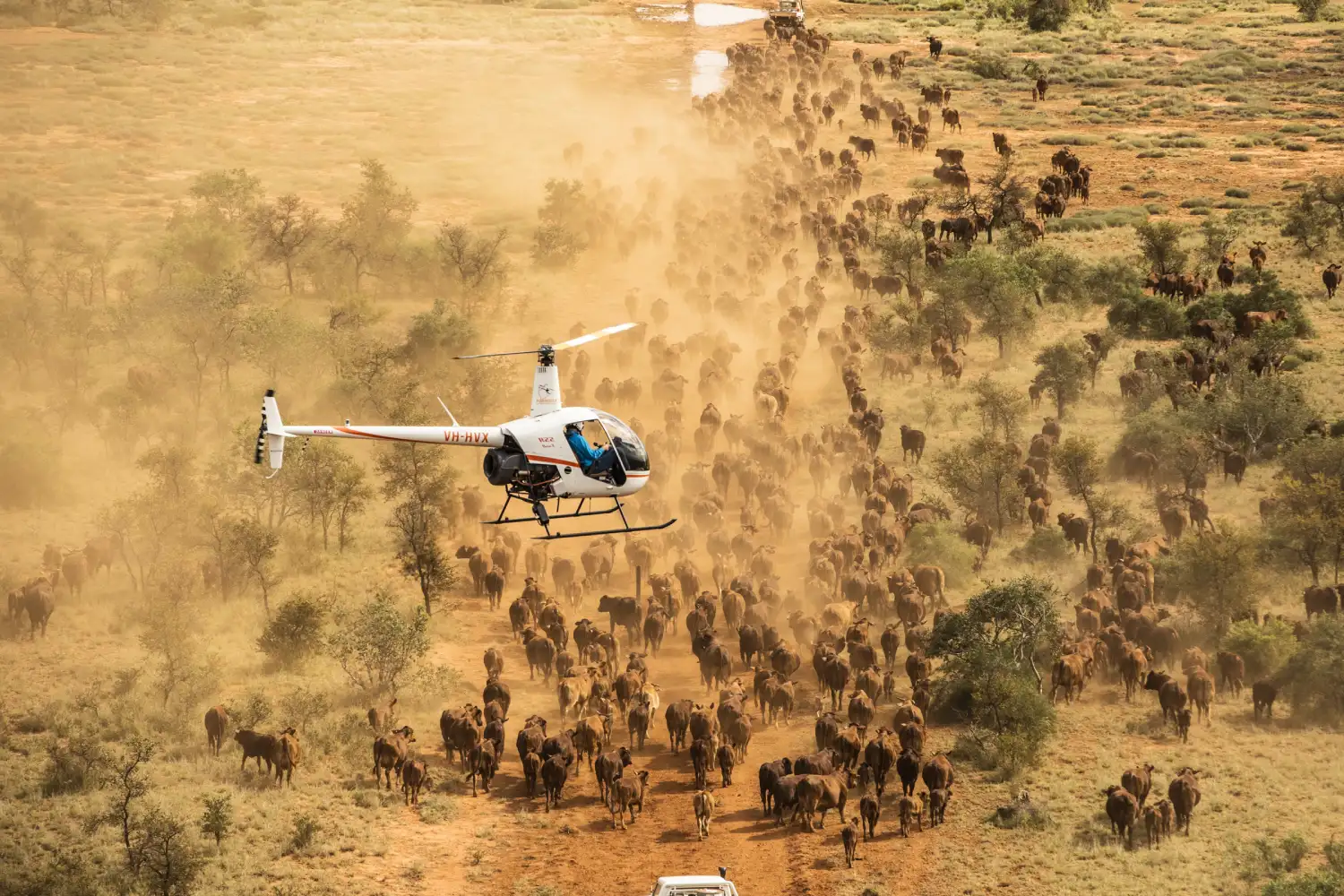Aircraft over Serengeti